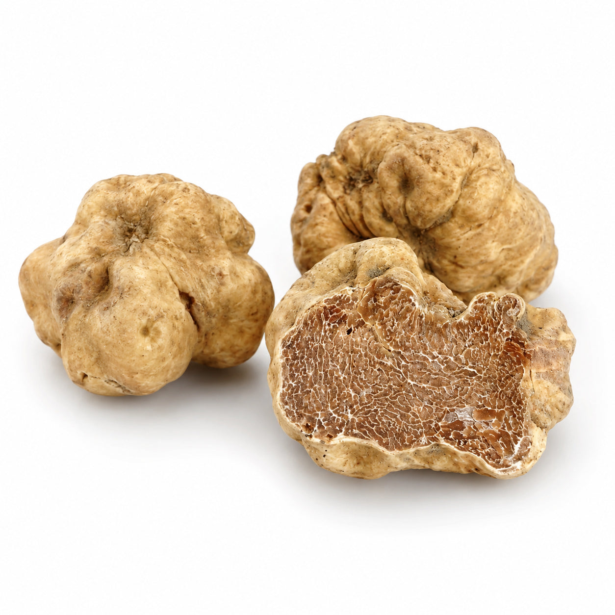 Fresh Fine White Truffle Tuber magnatum Pico with pale textured skin and cut interior