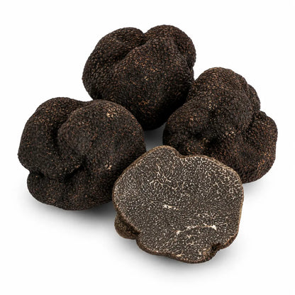Fresh Winter Black Truffle Tuber melanosporum with dark textured skin and marbled interior