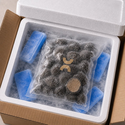 Frozen Tuber aestivum truffles packed for cold chain shipping and food service buyers